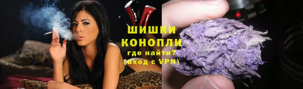 дурь Лабытнанги