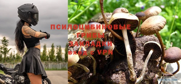 прущая мука Ладушкин