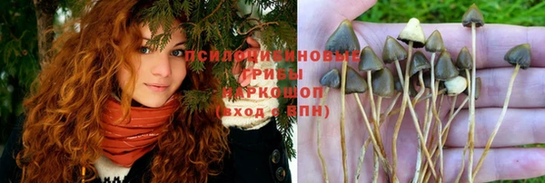 прущая мука Ладушкин